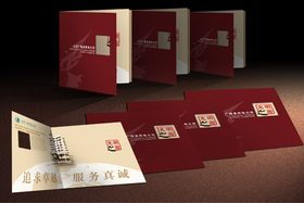 软件开发 从概念到实现的全过程解析