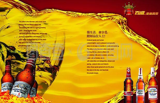 尊享奢华 码见未来 高端啤酒品牌数字视觉与软件开发融合之道